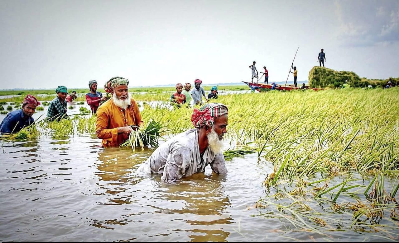 “জলাবদ্ধতা ও পানি নিষ্কাশন ব্যাহত হওয়ায় বিস্তীর্ণ হাওরাঞ্চলে দণ্ডায়মান ফসল নিমজ্জিত”।