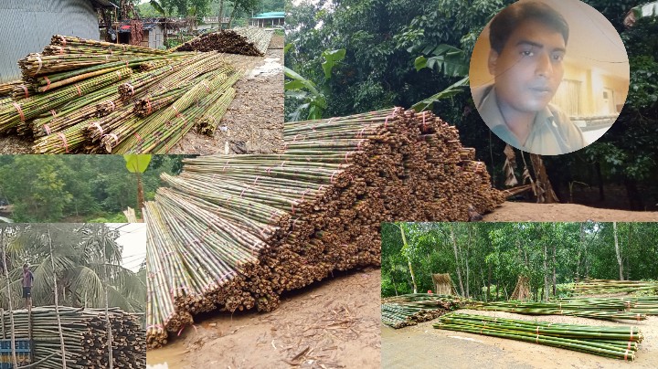 লামা বনবিভাগের ডলুছড়ি রেঞ্জের সরই বিটকর্মকর্তার যোগসাজশে কাঁচা বাঁশ পাচারের হিড়িক।