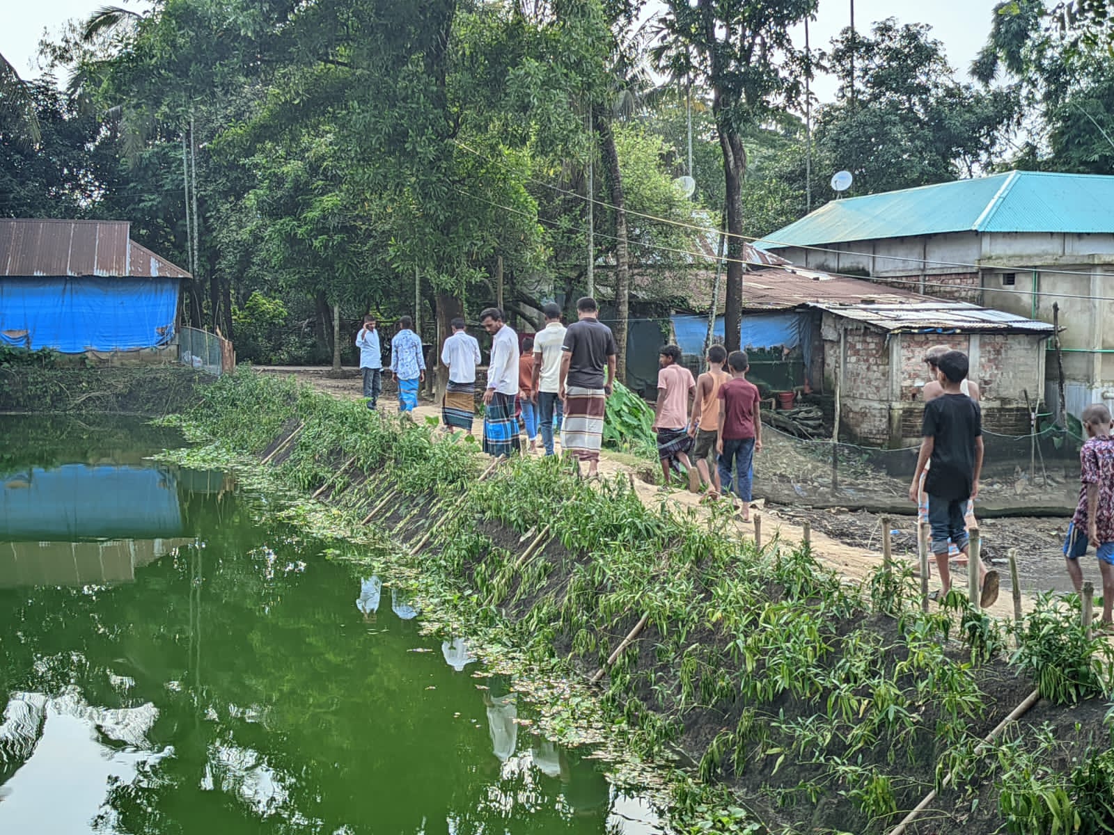 প্রভাবশালীদের পুকুর গ্রাসে বিলীনের পথে ৫ গ্রামের প্রধান সড়ক, চরম ভোগান্তিতে হাজারো মানুষ।