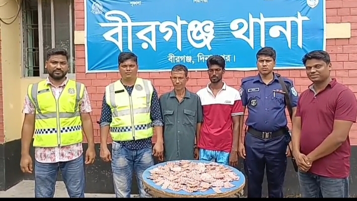 দিনাজপুর বীরগঞ্জে ১,৭০০ পিস ট্যাপেন্ডাল ট্যাবলেটসহ দুই মাদক কারবারি গ্রেপ্তার!
