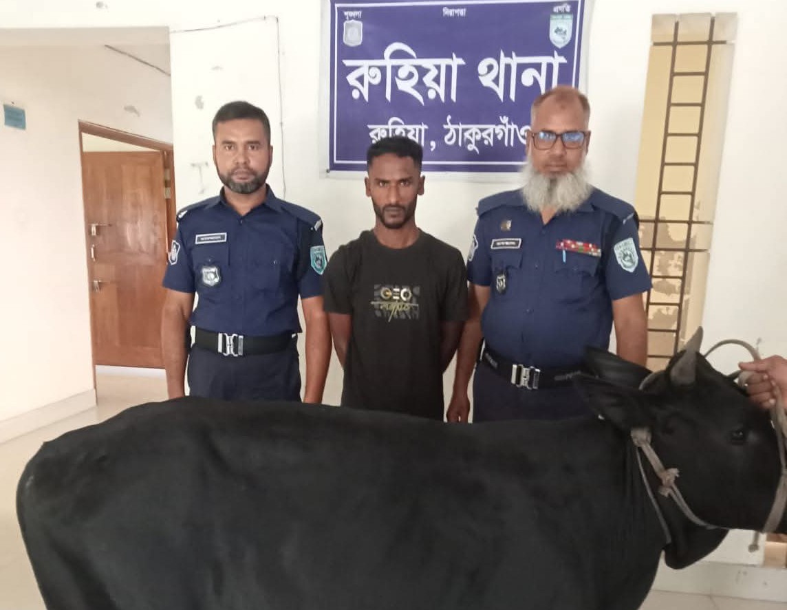 রুহিয়ায় গোয়ালঘর থেকে ষাঁড় চুরি: গ্রেফতার ১।