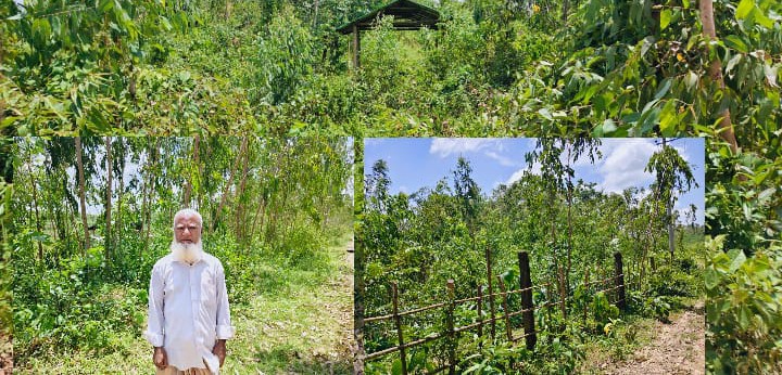 মৃত ব্যক্তির নামে ভুয়া দলিল লামায় ৫ একর পাহাড়ি ভূমি গ্রাসের চাঞ্চল্যকর জালিয়াতির অভিযোগ ।